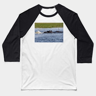 Hippopotamus in the Okavango Delta in Botswana Baseball T-Shirt